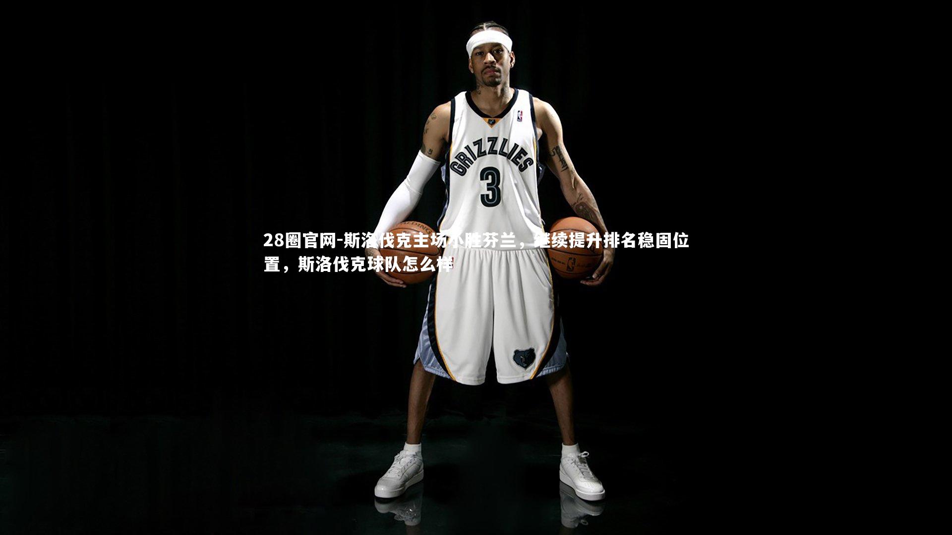 28圈官网-斯洛伐克主场小胜芬兰，继续提升排名稳固位置，斯洛伐克球队怎么样