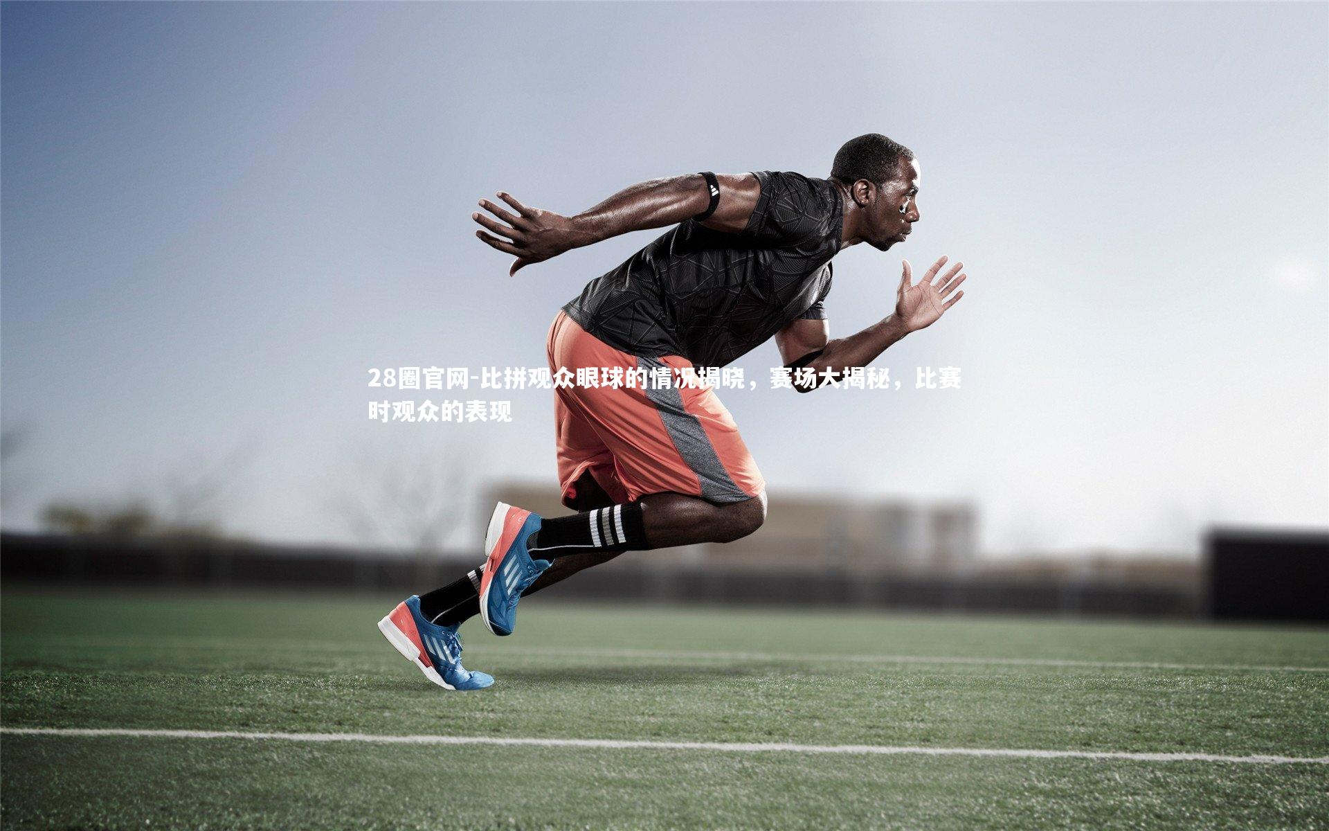 28圈官网-比拼观众眼球的情况揭晓，赛场大揭秘，比赛时观众的表现