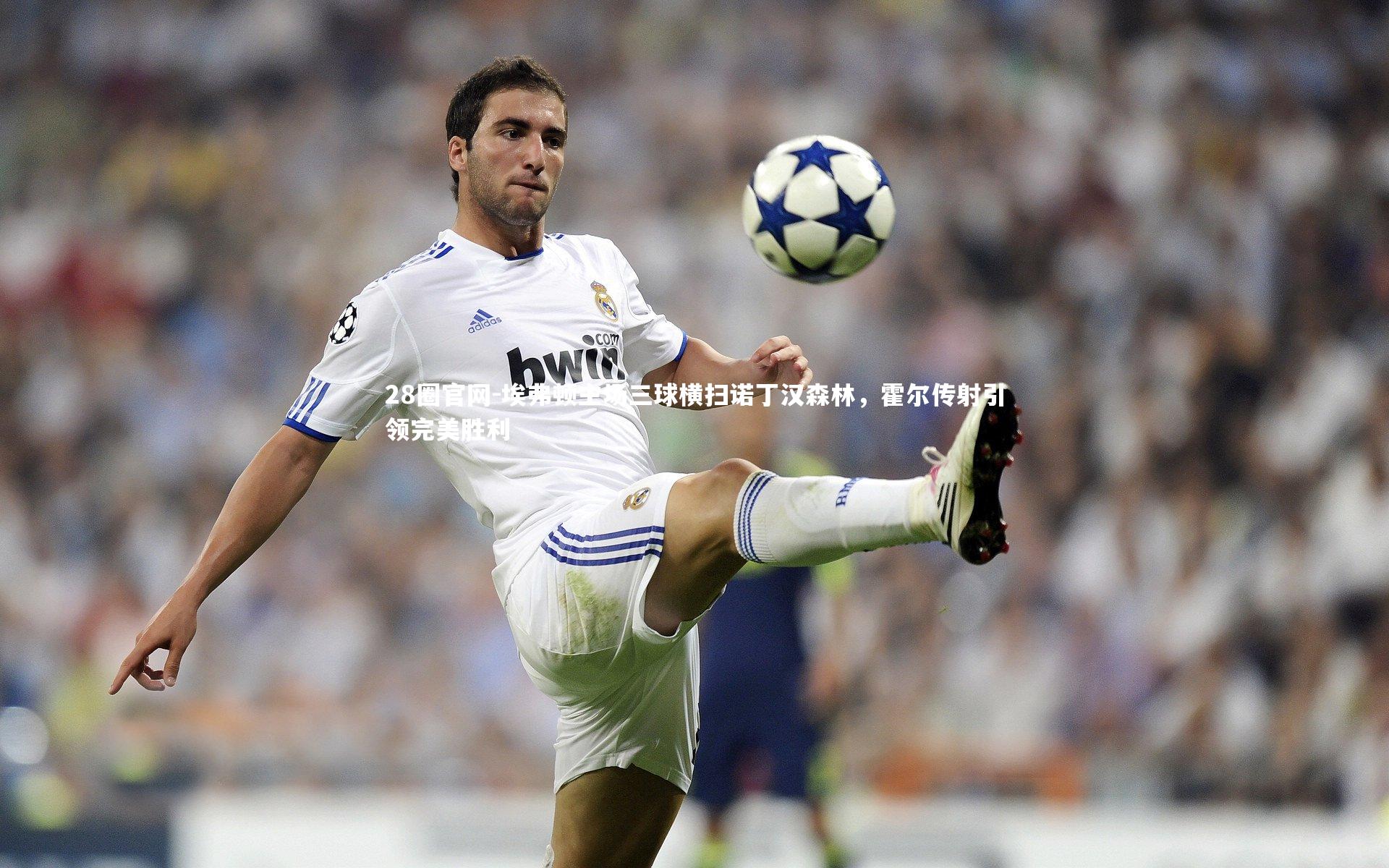 埃弗顿主场三球横扫诺丁汉森林，霍尔传射引领完美胜利