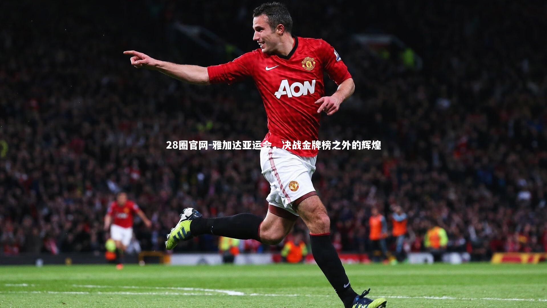 雅加达亚运会,决战金牌榜之外的辉煌